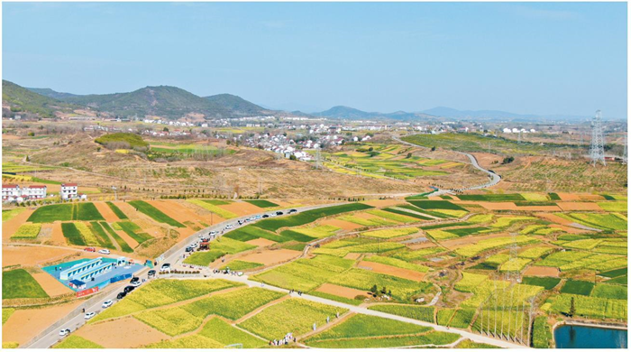 3月15日，2024最美油菜花海漢中旅游文化節(jié)（第15屆）暨全市春季主題招商周活動(dòng)在漢中市洋縣啟動(dòng)。圖為洋縣洋州街道龍泉觀花點(diǎn)。