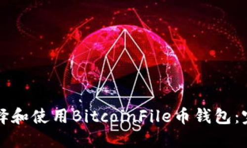 如何選擇和使用BitcoinFile幣錢包：完整指南