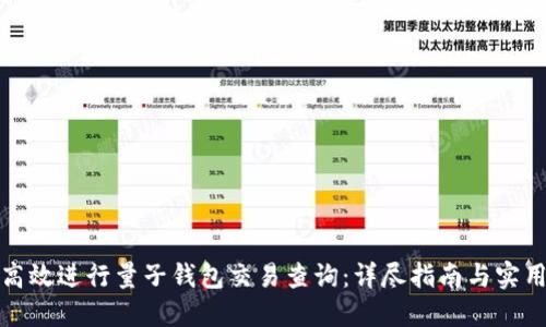 如何高效進(jìn)行量子錢包交易查詢：詳盡指南與實(shí)用技巧